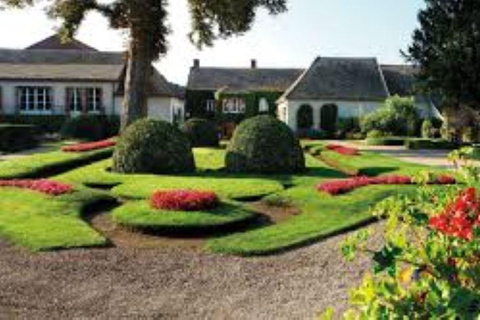 Parigi: escursione privata di un giorno nella regione dello Champagne e a Reims