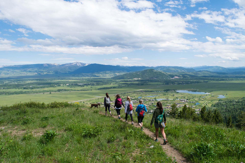 Jackson Hole: Aerial Tram and Gondolas Sightseeing Aerial Tram Only - Early Summer 2026