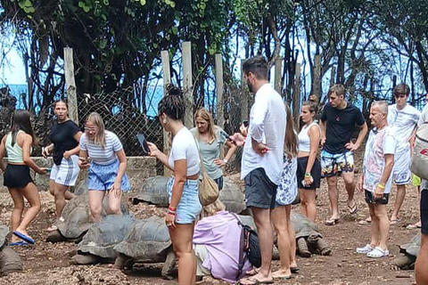 Mombasa : Nourrir les girafes au parc Haller en voiture.