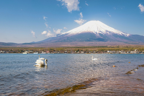 Tokyo: Mt. Fuji & Lake Kawaguchi Small Group Tour - 6 Spots Hotel Pickup Option