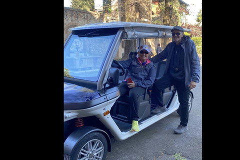 Rome in a Day: Private Golf Cart & Vatican Muesum experience