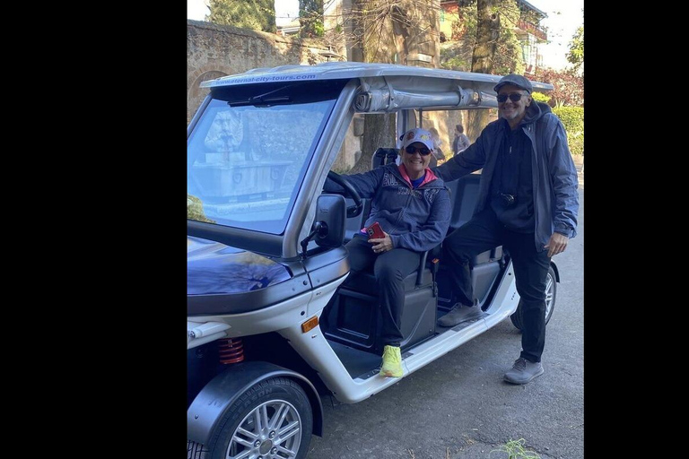 Rome in a Day: Private Golf Cart & Vatican Muesum experience