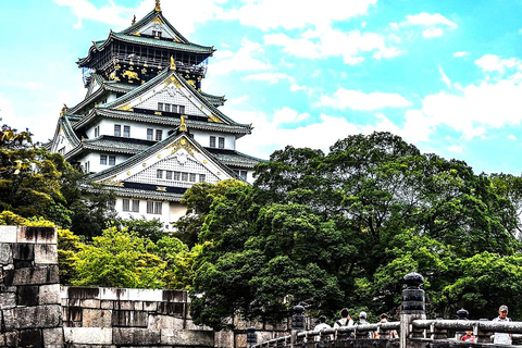 Tokyo Private Customizable Day Tour with a Guide