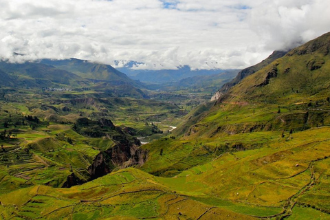 Caminata dentro del Cañón del Colca 2 DÍAS con comidas en Arequipa