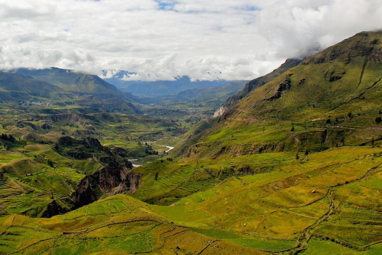 Caminata dentro del Cañón del Colca 2 DÍAS con comidas en Arequipa