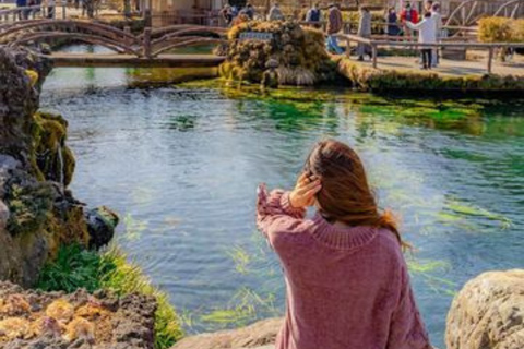 From Tokyo Mount Fuji Private Customizable Tour with Guide