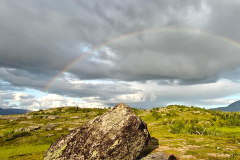 Abisko: Inkanjaure Hidden Lake Hike
