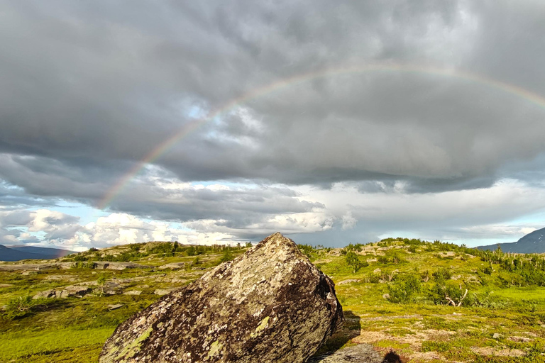 Abisko: Inkanjaure Hidden Lake Hike