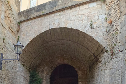 From Dresden: Table mountains Lilienstein & Königstein tour