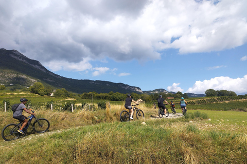 Electric-assisted mountain biking