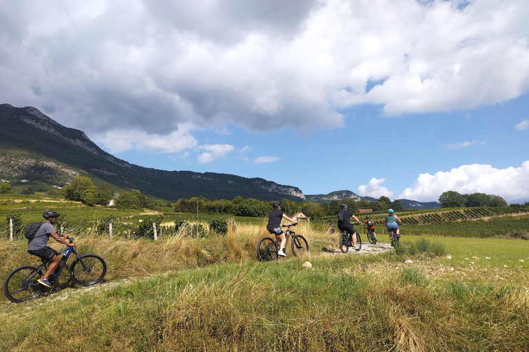 Electric-assisted mountain biking