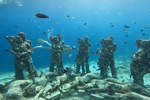 Private Gili Snorkeling Tour: Turtles, Reefs + GoPro & Drone 4 Hour Morning Trip + GoPro & Drone