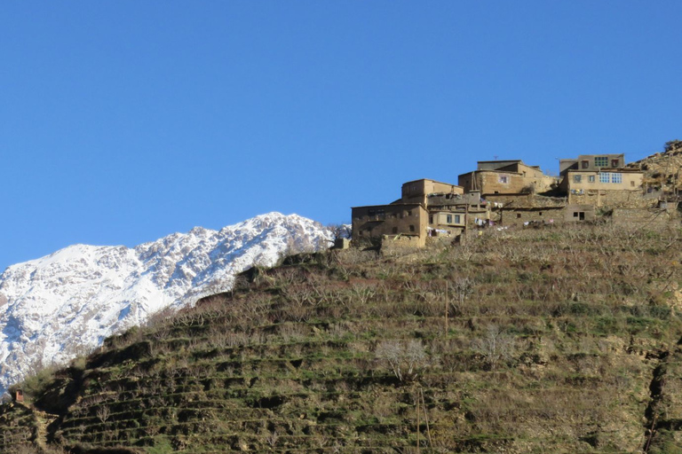 From Marrakech: Day Trip to Ourika Valley