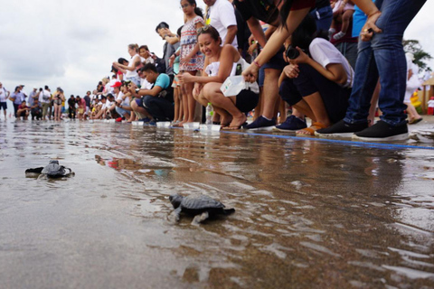 Bali: Schildpadden loslaten en watersportactiviteiten per optie