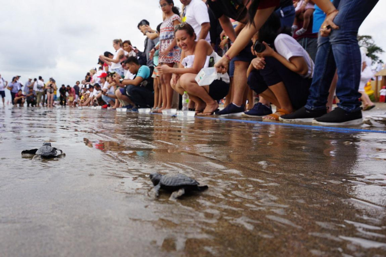 Bali: Schildpadden loslaten en watersportactiviteiten per optie