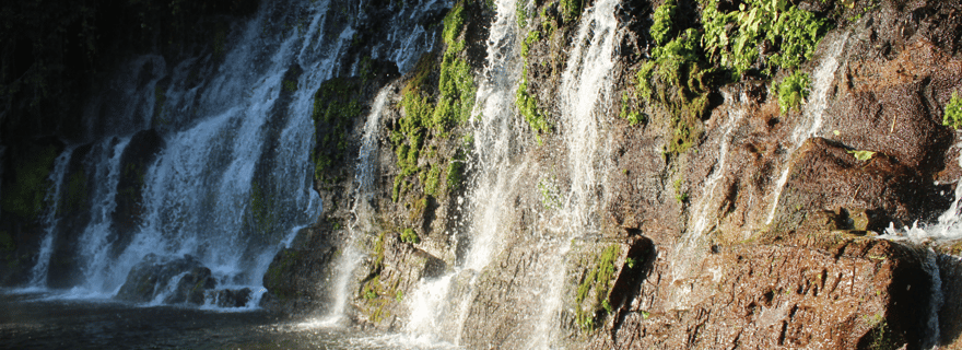 Ruta de las flores : 7 cascades et Chorros de la Calera.