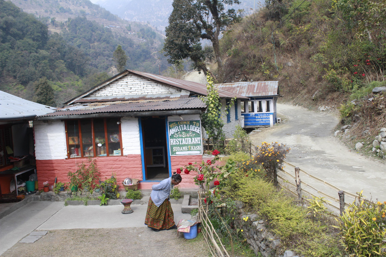 Découvrez la magie de Poon Hill : Un trek de 4 jours au départ de Pokhara