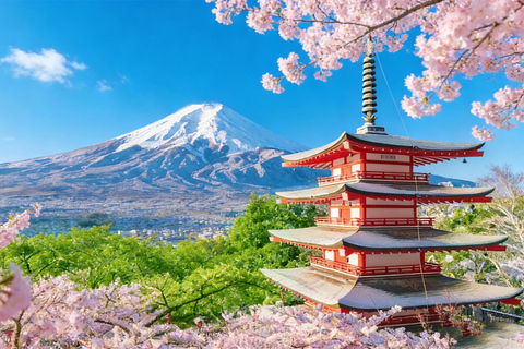 Tokyo: Mt Fuji & Arakurayama& Oshino Hakkai&Lake Kawaguchiko 8:00 AM | Shinjuku Station, West Exit