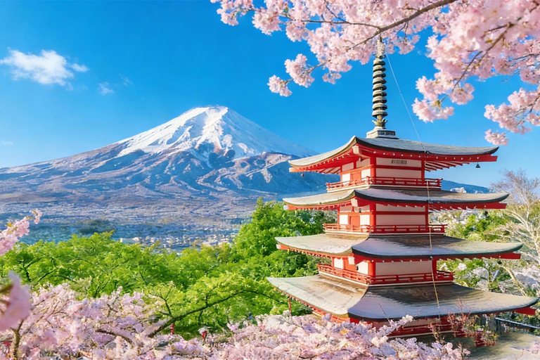 Tokyo: Mt Fuji & Arakurayama& Oshino Hakkai&Lake Kawaguchiko 8:00 AM | Shinjuku Station, West Exit