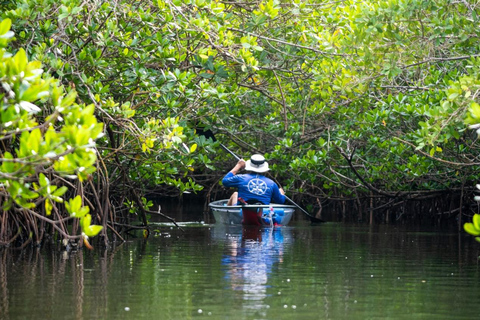 Vero Beach: Guided Clear Kayak Tours