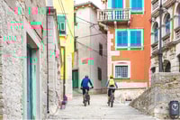 Kamenjak, Rabac, Bike Tour with Olive Oil & Fish Tasting - Housity