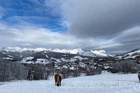 Conserje privado de lujo - Experiencia Megève a medida