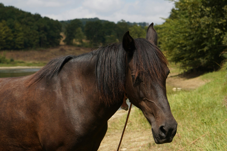 Cebu, Philippines: Mountain Heritage Trail Riding Adventure