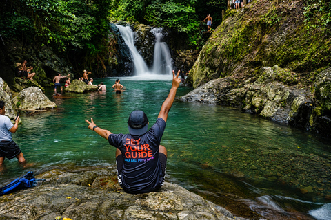 North Bali: Dolphin Swim, Snorkeling, & Waterfall Cliff Jump Small Group With Hotel Transfer Central Bali