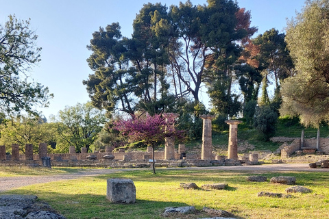 Olympia: Exclusive Tour with a Professional Archaeologist