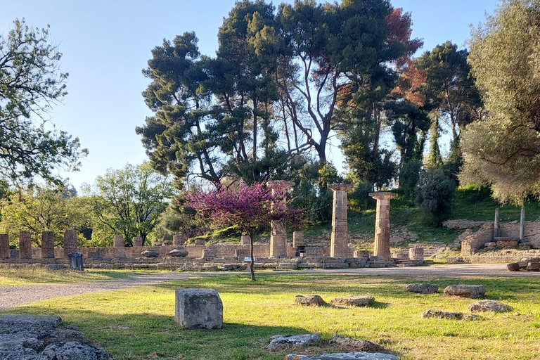 Olympia: Exclusive Tour with a Professional Archaeologist