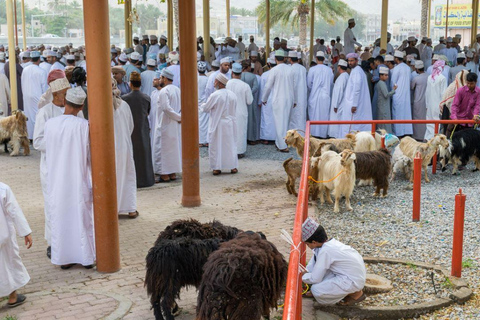 Från Muscat: Heldag till Nizwa-Misfat Al Abriyeen-Al Hamra