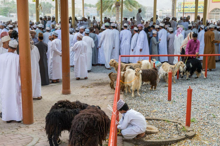 Au départ de Mascate : journée complète à Nizwa-Misfat Al Abriyeen-Al Hamra