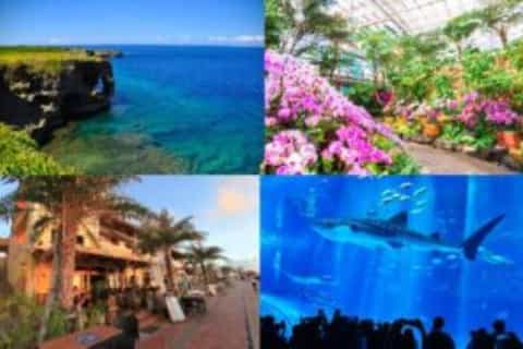 沖縄発：美ら海水族館＆万座毛1日ツアー | GetYourGuide