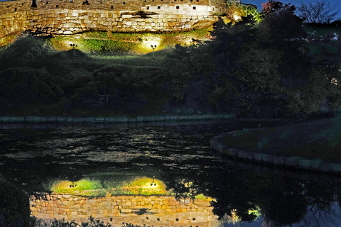 Suwon: Hwaseong, Starfield Library, and Hangnidan-gil Tour