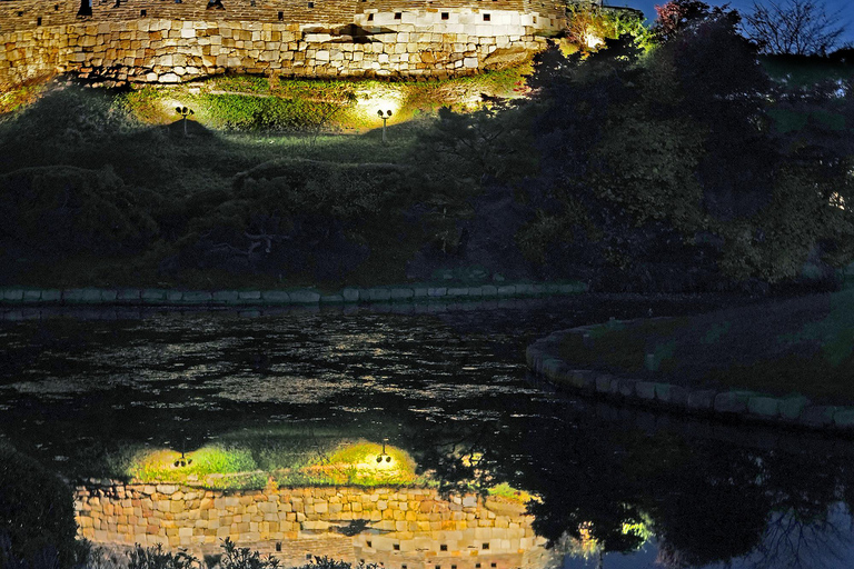 Suwon: Hwaseong, Starfield Library, and Hangnidan-gil Tour