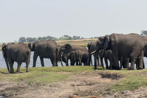 From Livingstone: Luxury Full‑Day Chobe Safari