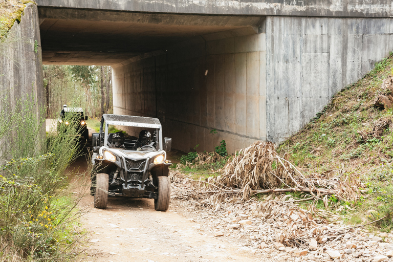 Desde Oporto: aventura en buggy todoterreno