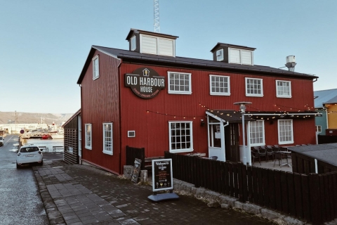 Reykjavík : Observation des baleines depuis un yacht de luxeObservation des baleines sur un yacht et point de rencontre