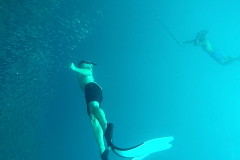 Insel Piscador mit Sardinenrennen und Schildkrötenjagd