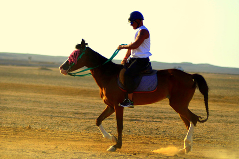 Marsa Alam: Passeio a cavalo pelo mar e pelo deserto