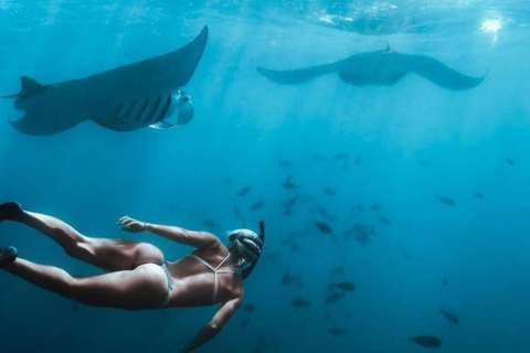 Vanaf Bali: Hele dag privé snorkeltour Nusa PenidaTrefpunt bij de haven van Sanur