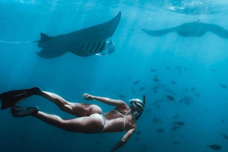 Desde Bali: Tour privado de día completo de snorkel por Nusa PenidaPunto de encuentro en el puerto de Sanur