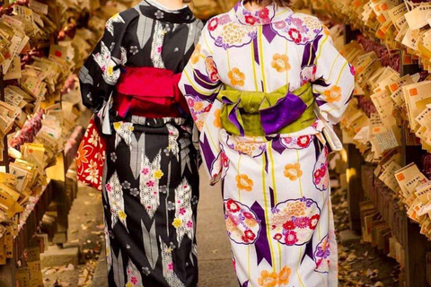 Kyoto/Osaka: Kyoto and Nara Customized Private Guided Tour