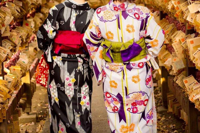 Kyoto/Osaka: Kyoto and Nara Customized Private Guided Tour