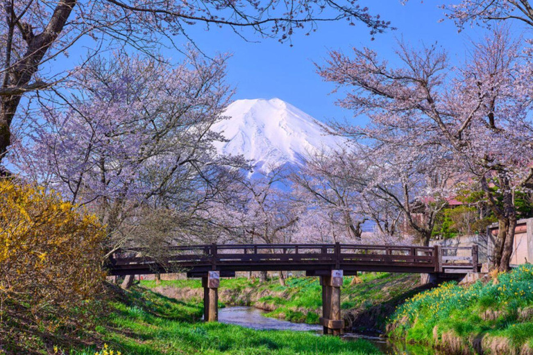 Mt Fuji Private Luxury Full-Day Tour with customization