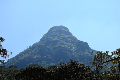 From Nuwara Eliya: Adam's Peak Climb & Ella Drop
