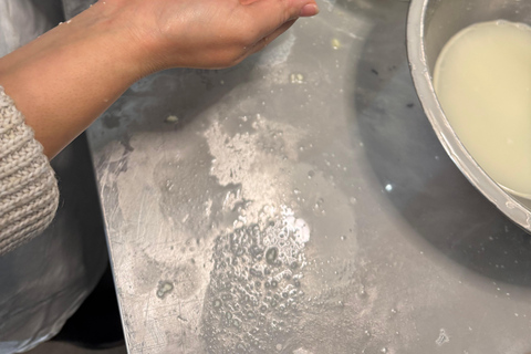 Lyon: Make your own mozzarella from local raw milk