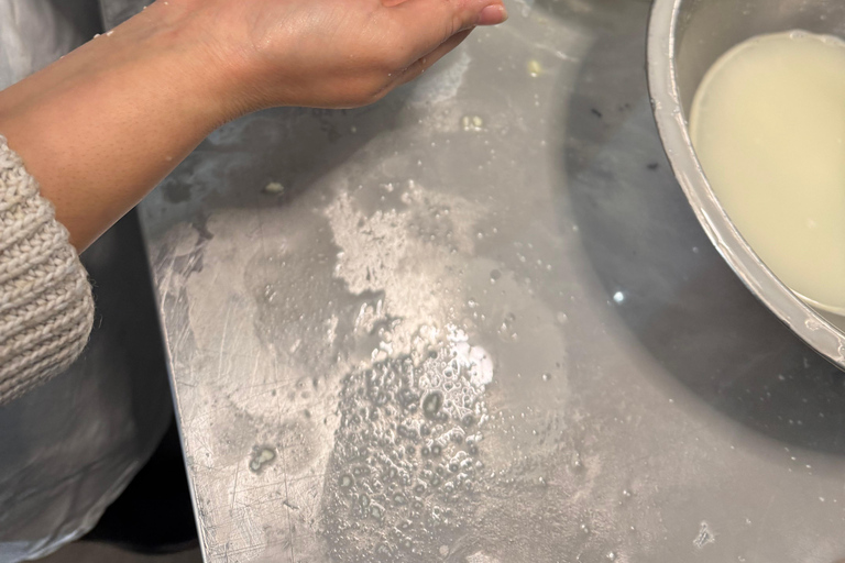 Lyon: Make your own mozzarella from local raw milk