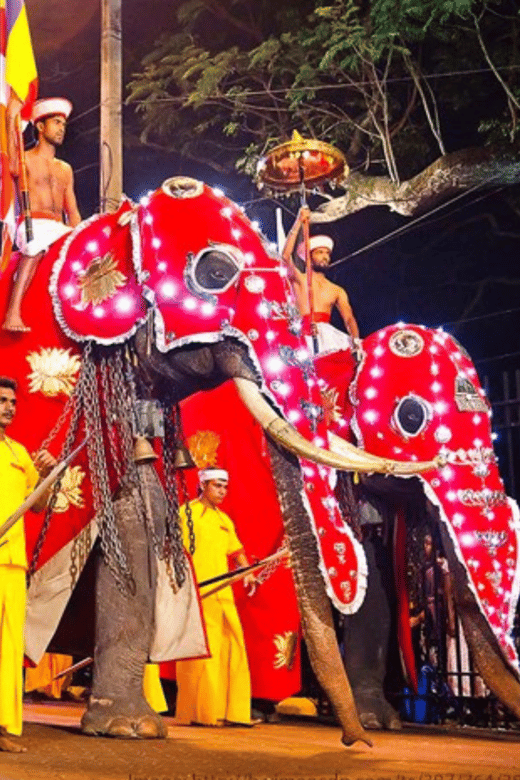 Kandy: Esala Perahera Festival Ticket 2024- August 15th-19th | GetYourGuide