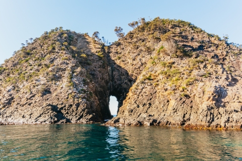 Bruny Island: Bootsfahrt in der WildnisTour ab Hobart